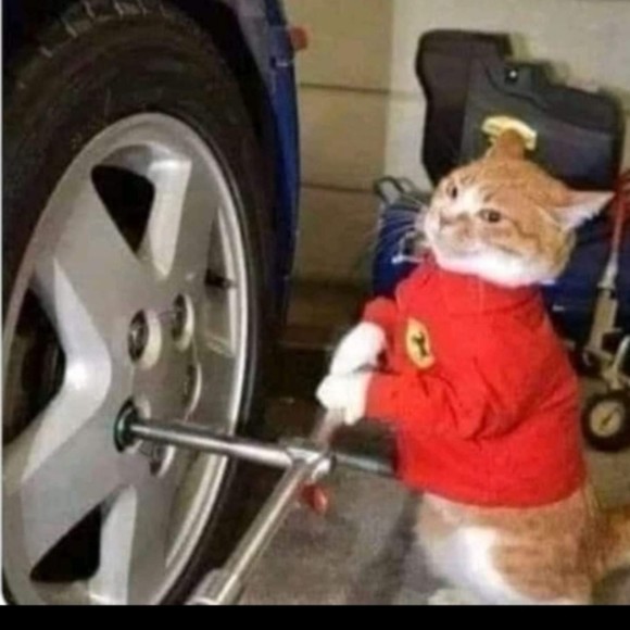 Meet your Posher, Santiago - Picture 1 of 1